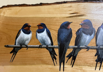 Bird Wall Art on Cherry Live Edge | Metal Swallow Silhouette | Rustic Farmhouse Decor