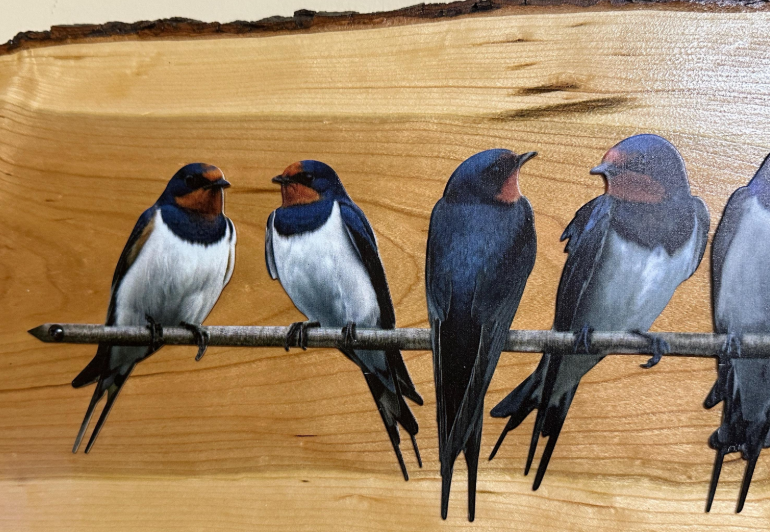 Bird Wall Art on Cherry Live Edge | Metal Swallow Silhouette | Rustic Farmhouse Decor