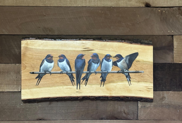 Bird Wall Art on Cherry Live Edge | Metal Swallow Silhouette | Rustic Farmhouse Decor